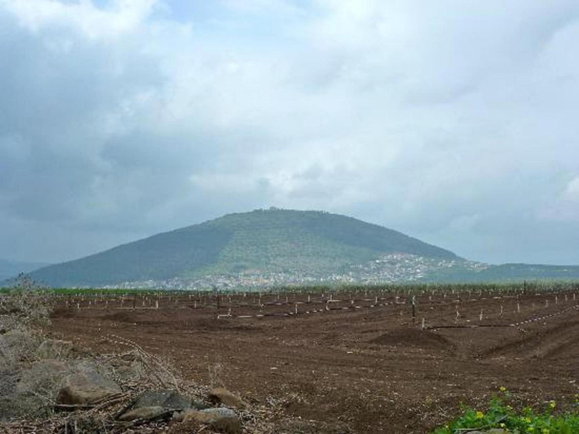 Bar Bakfar Villa Sharona Bagian luar foto